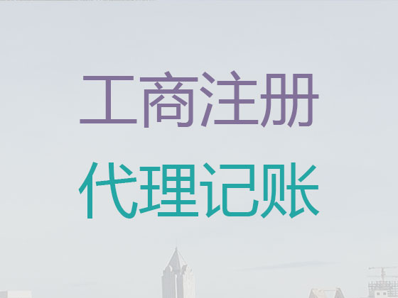 三亚代理记账服务|代办分公司代账/记账